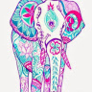 Meet your Posher, Sofia